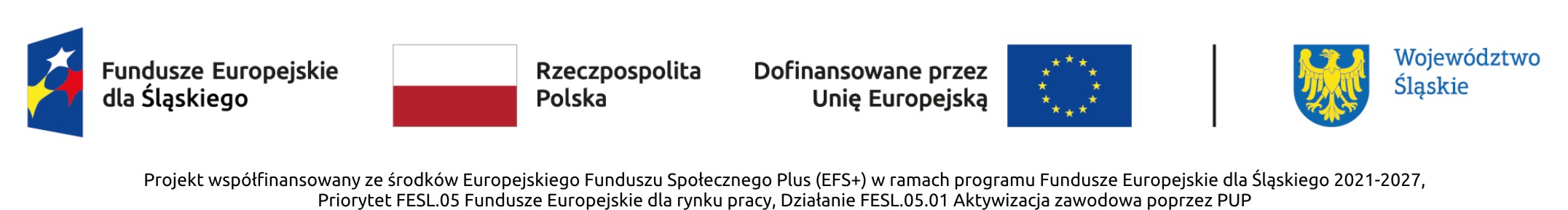 Logo EFS+